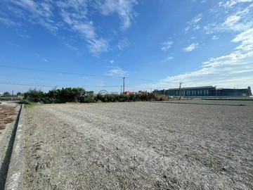 ️小喬推薦❣️大城都計內8米路農地｜彰化縣大城鄉東城段