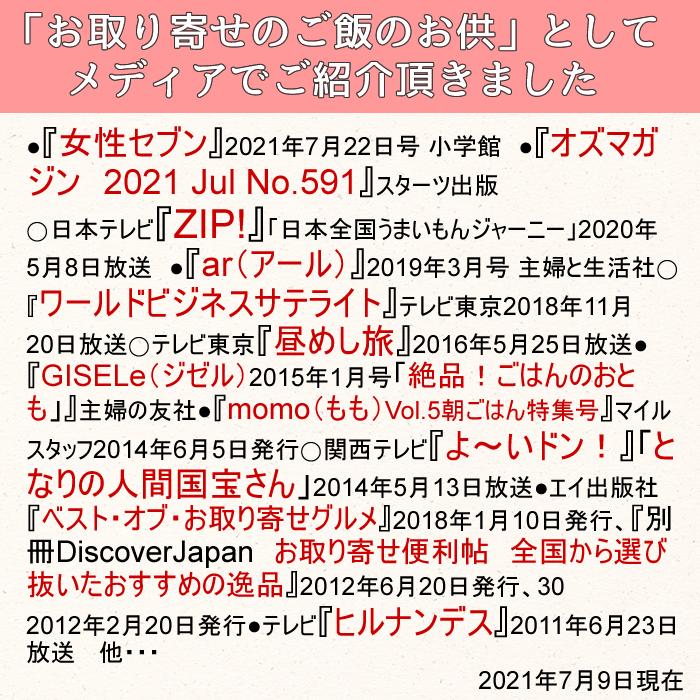 カネジョウ いわし削り 45g×1袋 無添加 食塩不使用 国産 お試し