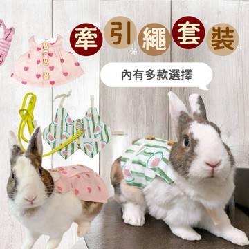 哈密兔事·兔子專用牽引繩套裝｜牽引繩+衣服·遛兔·拍照兔兔外出散步去 兔衣服牽引繩衣服