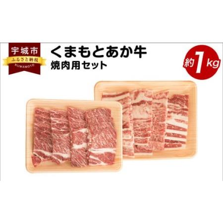 ふるさと納税 くまもとあか牛 焼肉用 セット 合計約1kg カルビ 肩ロース 和牛 牛肉 熊本県宇城市