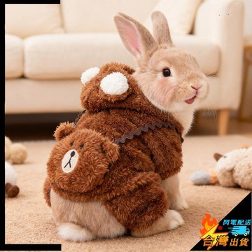 【台灣出貨】 寵物服飾 兔子衣服 秋冬裝 泰迪 比熊 博美 小型犬 貓咪加絨加厚衣服 兔兔四腳寵物衣服