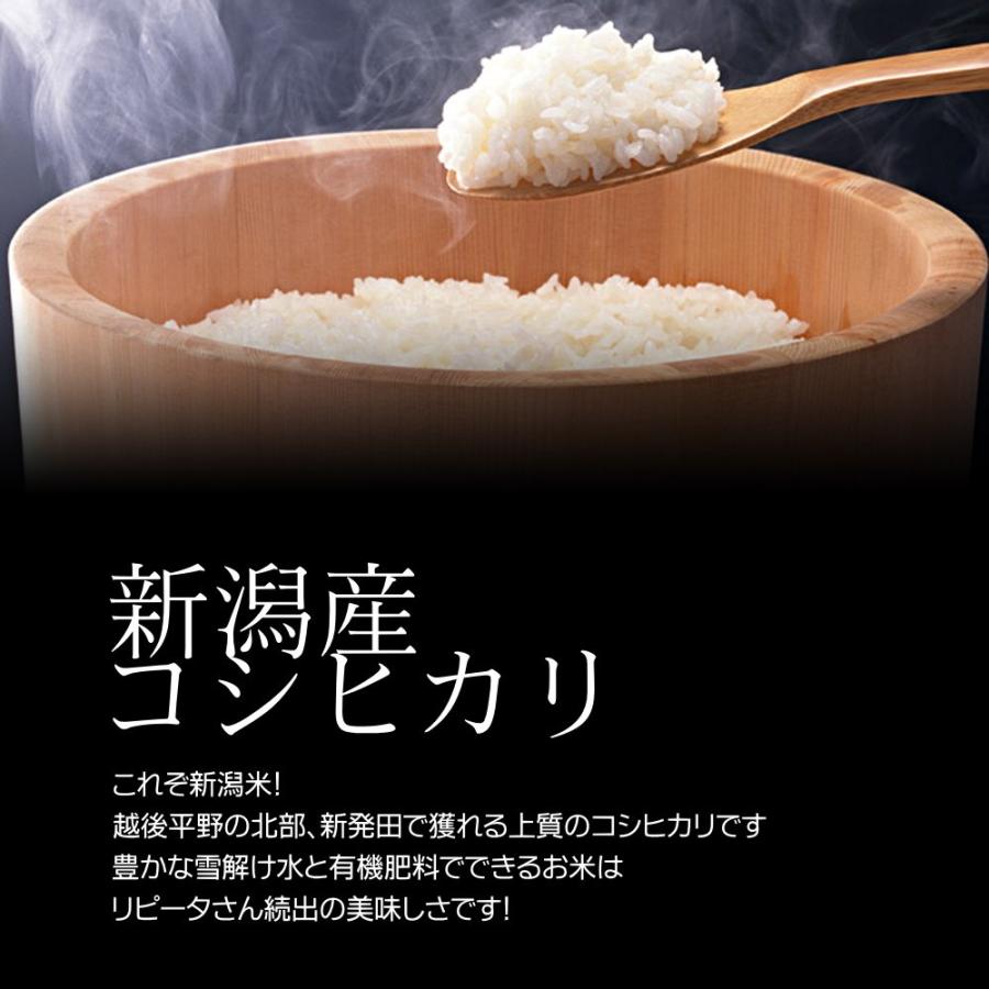 「きれいな水と恵まれた気候でつくったお米・自宅用米」産地直送米[新潟産コシヒカリ]玄米 5kg（1キロパック×5袋）