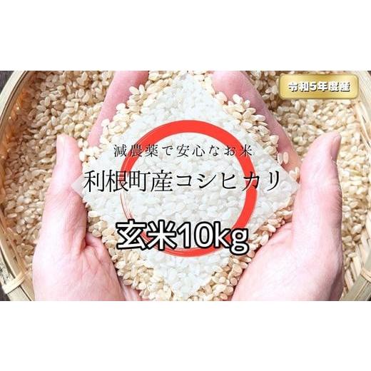 ふるさと納税 茨城県 利根町 利根町産コシヒカリ　玄米10kg