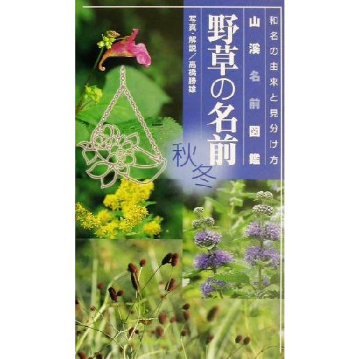 野草の名前(秋冬) 和名の由来と見分け方 山溪名前図鑑／高橋勝雄