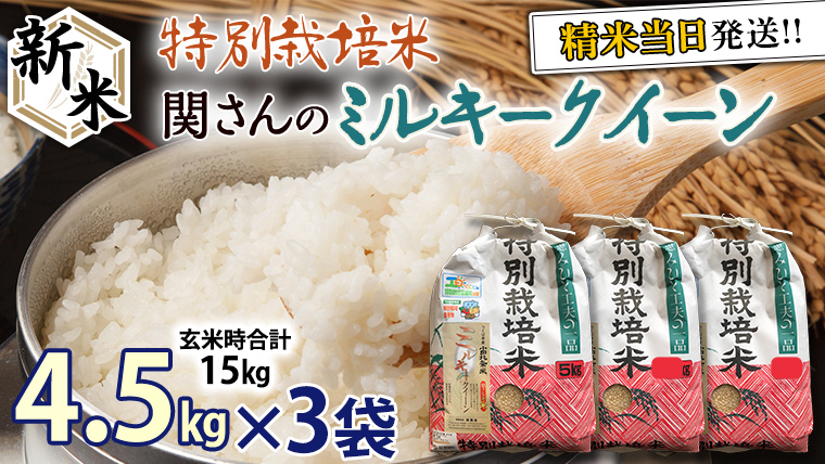 《 特別栽培米 》 令和5年産 精米日出荷 関さんの「 ミルキークイーン 」 4.5kg × 3袋 玄米時 15kg 新鮮 精米 米 こめ コメ 特別栽培農産物 認定米 新米 [AM089us]