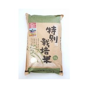 長沼ゆめぴりか（無農薬）　白米　5kg