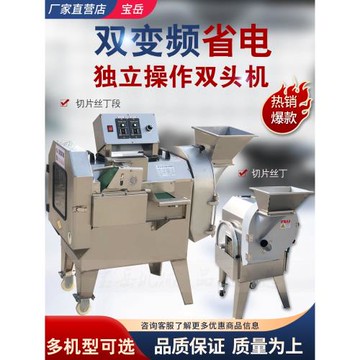多功能切菜機商用一體機土豆絲切片機蘿卜切塊丁機食堂用電動神器