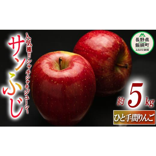 ふるさと納税 長野県 飯綱町 りんご サンふじ 「 ひと手間りんご 」 5kg 沖縄県への配送不可 2023年12月中旬頃から2023年12月下旬頃まで順次発送予定 ふるさと…