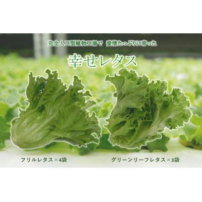 ふるさと納税 阿波市 幸せレタス詰め合わせセット　計7個