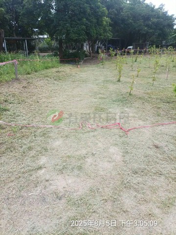 石園路旁小農地｜桃園市大溪區石園段