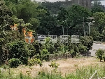 統嶺段108.31分景觀農地｜高雄市大樹區統嶺段