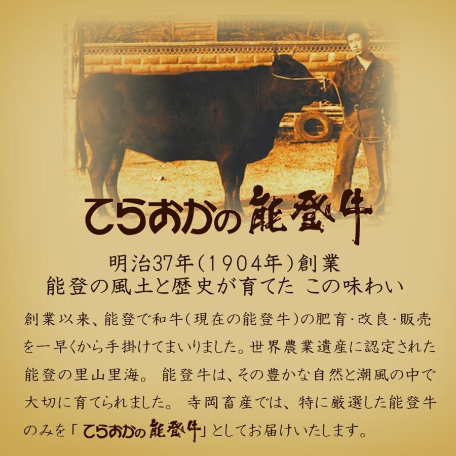 お歳暮 てらおか風舎 能登牛 A5 プレミアム 極上 ロース 焼肉 300g 牛肉 冷蔵 ギフト 内祝 贈り物 景品 お取り寄せ グルメ