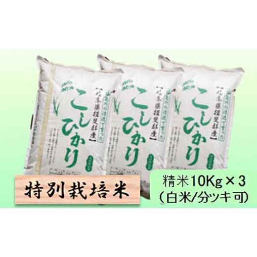 ふるさと納税 岐阜県 池田町 令和５年産　特別栽培米★精米30kg　白米　 玄米は別に出品 [No.5644-7078]1361