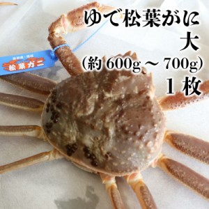 [予約 2023年12月20日-12月31日の納品] ゆで松葉がに 大（約600g～700g） 1枚 ブランドタグ付き 蟹 松葉がに 松葉ガニ カニ