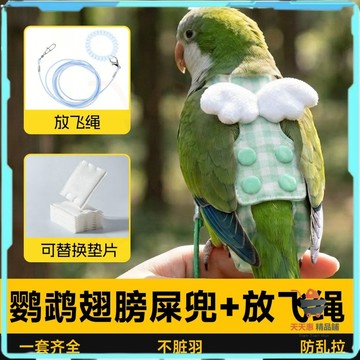 免運🔥鸚鵡翅膀屎兜 鸚鵡尿布 鸚鵡外出 鸚鵡屎兜 鸚鵡衣服 鸚鵡尿不溼屎兜 小太陽便兜 一次性拉屎神器 飛行服放飛繩