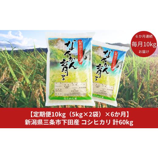 ふるさと納税 新潟県 三条市 [定期便 10kg（5kg×2袋）×6か月] 新米 コシヒカリ 新潟県三条市下田産 こしひかり 計30kg 令和5年産米 6か月連続でお届け  [JA…