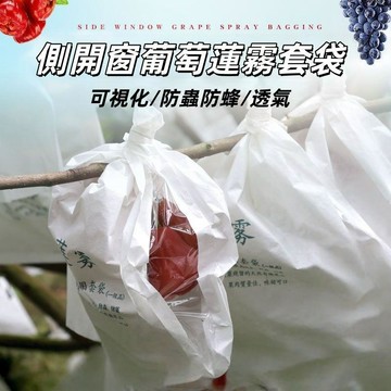 💥免運出貨💖蓮霧套袋 防蟲袋 專用葡萄釋迦紙袋 蓮霧套袋 可視款套袋 側開窗套袋 蓮霧專用套袋 防蟲套袋 水果紙袋