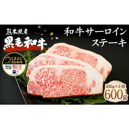 ふるさと納税 熊本県 菊池市 熊本県産 黒毛和牛 サーロイン ステーキ 計600g（200g×3） 国産 牛肉