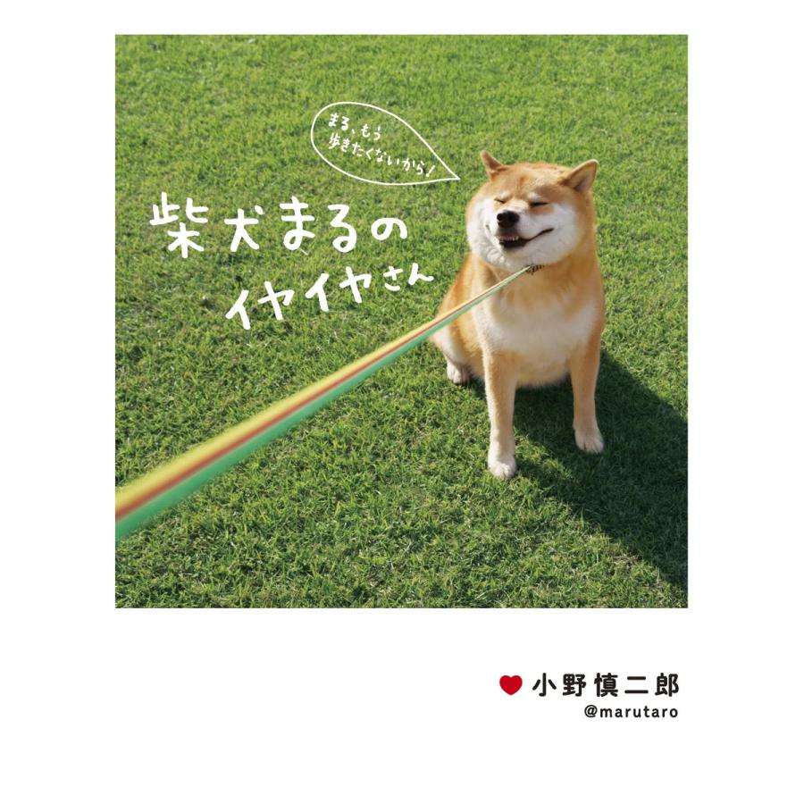 柴犬まるのイヤイヤさん 小野慎二郎