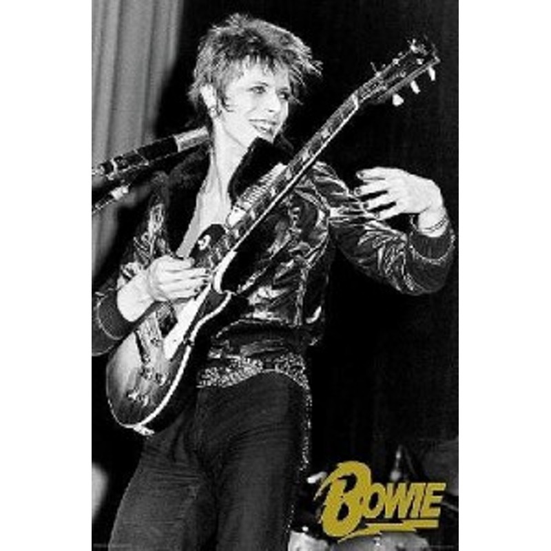 デヴィッド・ボウイ／ポスター David Bowie フレームなし | LINE