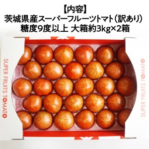 《訳あり》 スーパーフルーツトマト 大箱 約2.6kg×2箱  糖度9度以上 トマト とまと 野菜 [BC039sa]