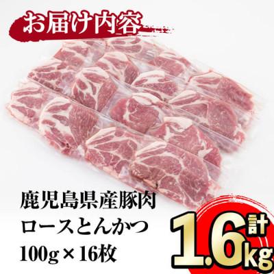 ふるさと納税 志布志市 小分けで便利!鹿児島県産豚肉ロースとんかつ 計1.6kg(100g×16P)!