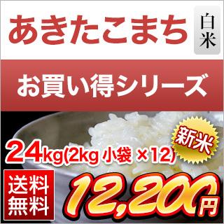 新米 令和5年(2023年)産 埼玉県産 あきたこまち 白米 24kg(2kg×12袋）