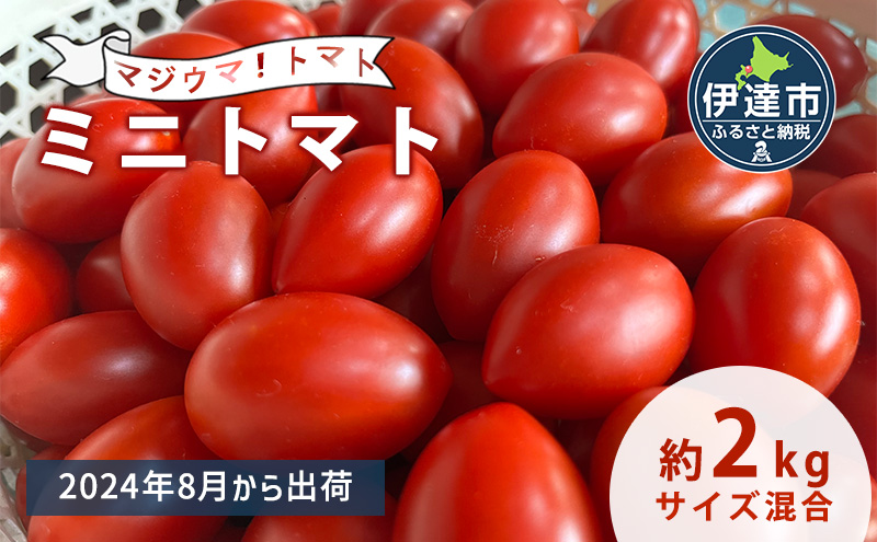 ◆2024年8月より順次出荷◆北海道 伊達 岡本園芸 ミニトマト 高糖度 約2kg