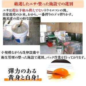 ふるさと納税 ＜アスカ有機農園＞旬の京野菜セットL（平飼い卵付）＊毎月お届け全6回 京都府亀岡市