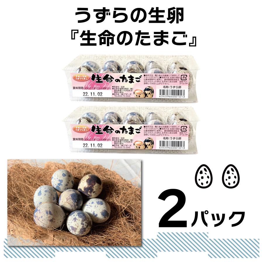 食用 豊橋産 うずらの卵 生命の生卵 10個入り 2パック 産地直送 新鮮 uzura