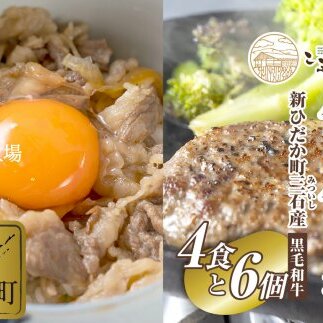 北海道産 黒毛和牛 こぶ黒 A5 和牛農家が作った 和牛丼 ＆ ハンバーグ 計 10食 (和牛丼 125g×4パック ＆ ハンバーグ 120g×6個)