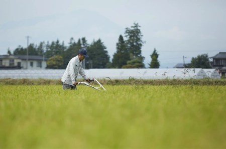 岩手県矢巾町　令和5年産　「ひとめぼれ精米」2合×5袋