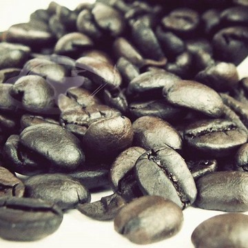 Gustare caffe 精選西達摩咖啡豆(1磅)