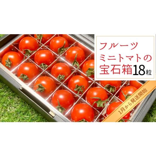 ふるさと納税 茨城県 つくばみらい市 フルーツミニトマト の 宝石箱 18粒  野菜 トマト フルーツ ミニトマト フルーツ