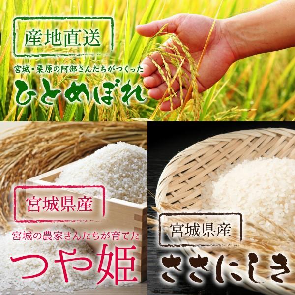 新米 米 3品目 食べ比べ 30kg 令和5年産 小分け 宮城県産 送料無料 精白米 ひとめぼれ つや姫 ササニシキ 各5kg×2袋が各3種