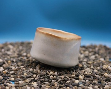 藏菁手作ㅣ柴燒志野釉杯