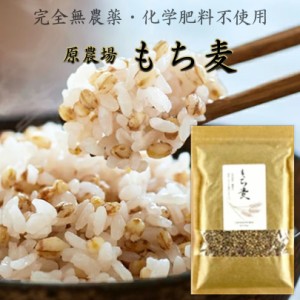 完全無農薬・化学肥料不使用 原さんちのもち麦500g 国産(100％熊本県産)雑穀米 原農場 熊本県菊池市七城町産 メール便商品