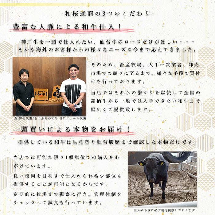 神戸牛 お徳用切り落とし 100g単位の量り売り 肩・モモ肉 ご家庭用 お試し 黒毛和牛 グルメ ギフト