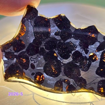 肯亞橄欖隕鐵Sericho Meteorite收藏級覆膜把玩切片2026-5 ~極佳的護身符