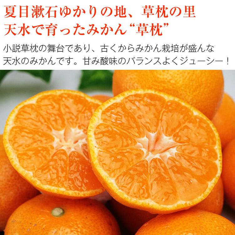 みかん 4kg 熊本県産 草枕 秀品 青秀以上 S M Lサイズ JAたまな くさまくら 夏目漱石 ミカン 蜜柑 柑橘 常温便 同梱不可 指定日不可