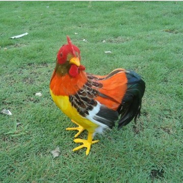 教學素材 仿真公雞 羽毛動物 仿真雞  動物模型家居擺件