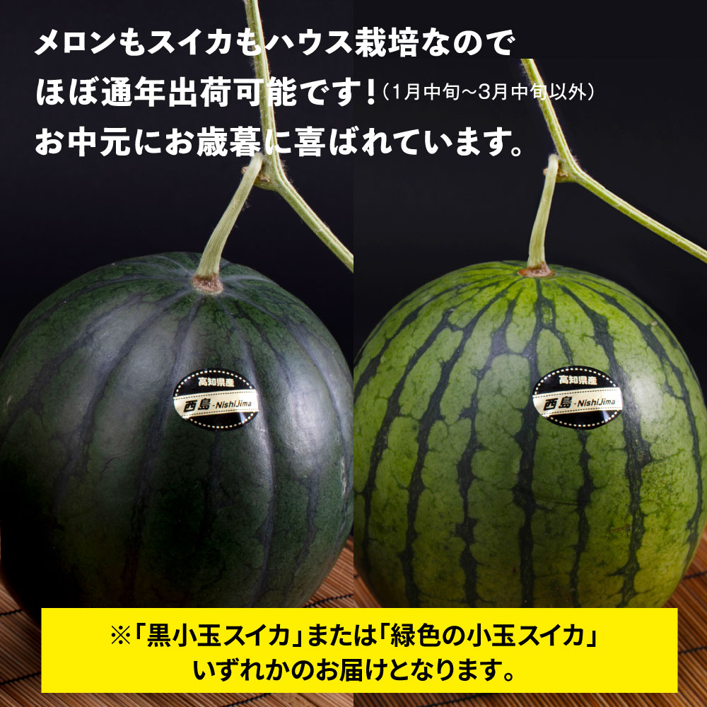 緊急支援　高知県産 最高級マスクメロン＆小玉スイカセット〈南国市共通返礼品〉　