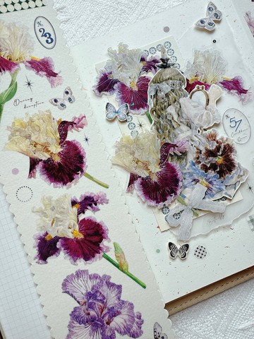 阿鳶 (2) 大輪のアイリス PET 和紙膠帶 10米卷 貝殼光 台灣製