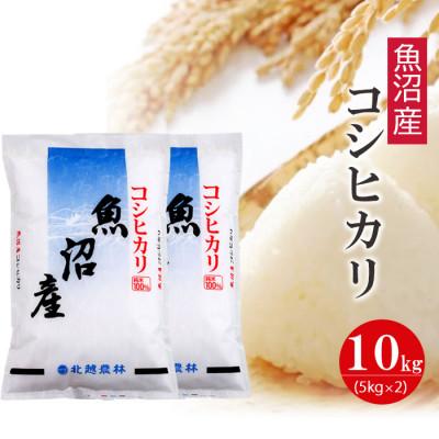 ふるさと納税 新潟県 魚沼産コシヒカリ10kg 令和5年産