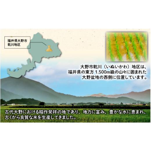 ふるさと納税 福井県 大野市 福井県大野市産 JGAP認証 コシヒカリ「あかね」5kg（2.5kg×2）小分け