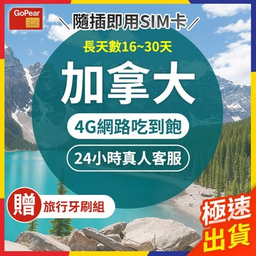【極速出貨】加拿大sim卡 長天數 加拿大網卡 加拿大網路卡 加拿大上網卡 網路卡 網卡 sim卡 溫哥華網卡 多倫多