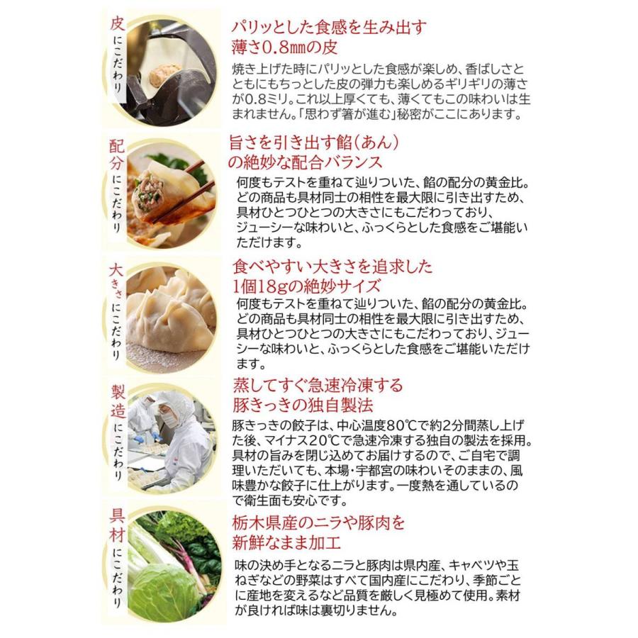 餃子 宇都宮餃子とんきっき 肉餃子・野菜餃子セット 2種各20個入り お取り寄せグルメ