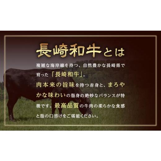 ふるさと納税 長崎県 波佐見町 ウデ モモ スライス 500g A4 〜 A5ランク  [AG01] しゃぶしゃぶ すき焼き 長崎和牛