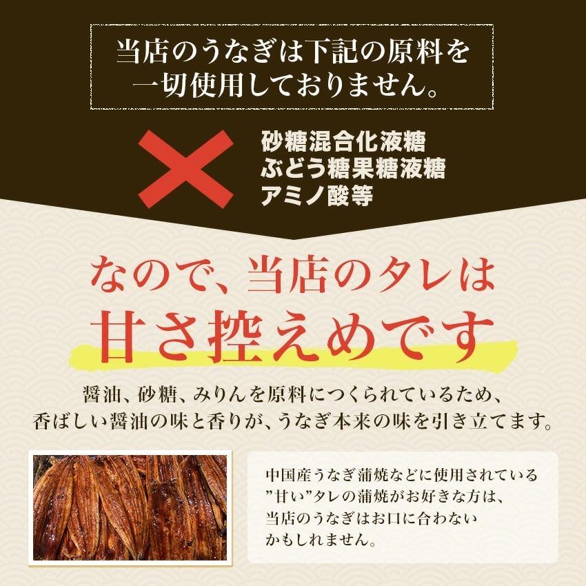 　国産うなぎの最高峰　浜名湖うなぎ総重量約160g（カット蒲焼80g×2)  B級グルメ代表 浜松餃子600g（20g×30粒）