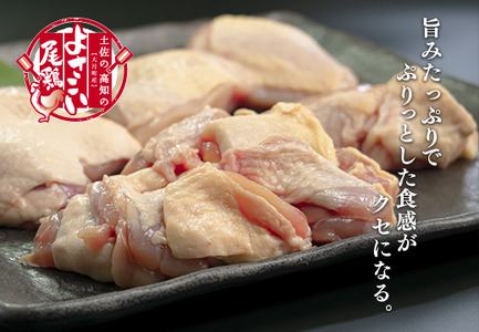 よさこい尾鶏 もも肉角切り(300g×6パック)計12回